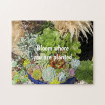 Färgfläckar med Silver-gräs