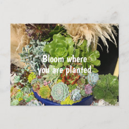 Färgfläckar med Silver-gräs Vykort