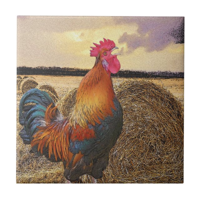 Färgfläckar på Tupp och hay Bales Kakelplatta (Framsidan)