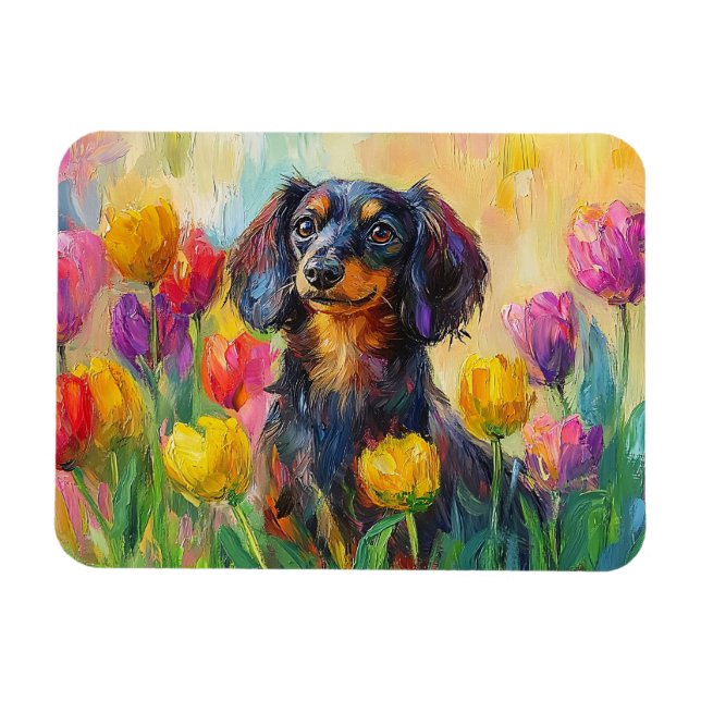 Färgfläckfärgning av kute Dachshund Magnet (Horisontell)
