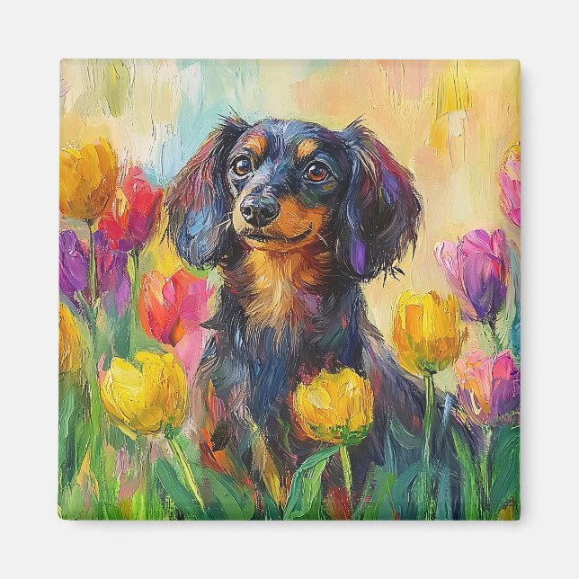 Färgfläckfärgning av kute Dachshund Magnet (Framsidan)
