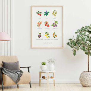 Färgfläckig frukt från Poster av andningsväggen