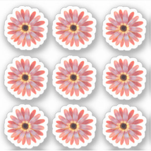 Färgfläckig Gerbera Daisy Blommigt Sticker Klistermärken
