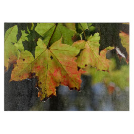 Färgfläckig höst löv