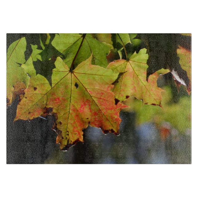 Färgfläckig höst löv (Framsidan)
