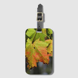 Färgfläckig höst löv bagagebricka