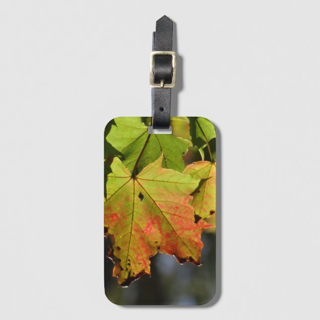 Färgfläckig höst löv bagagebricka (Framsida vertikal)