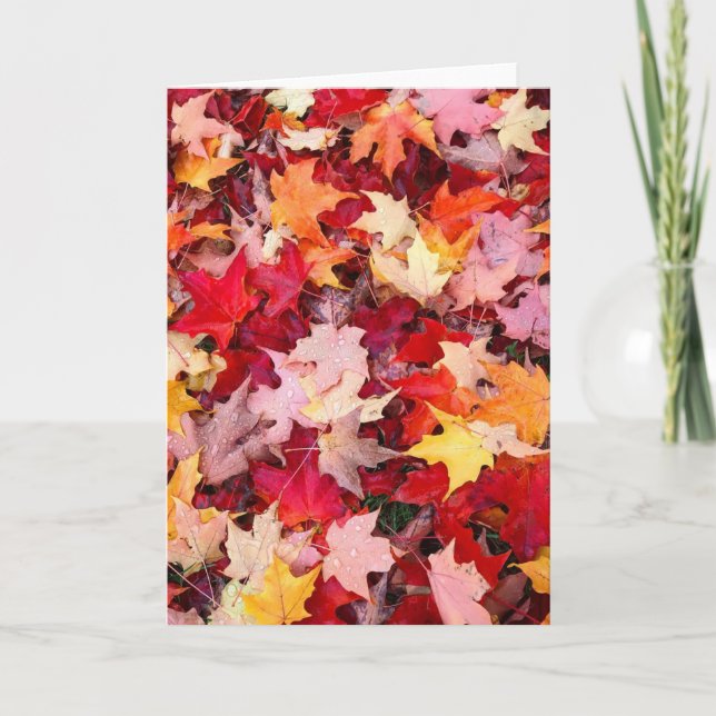 Färgfläckig Höst löv Kort (Framsida)