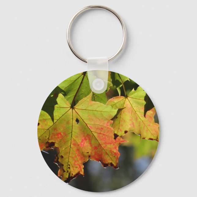Färgfläckig höst löv nyckelring (Framsida)