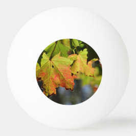 Färgfläckig höst löv pingisboll