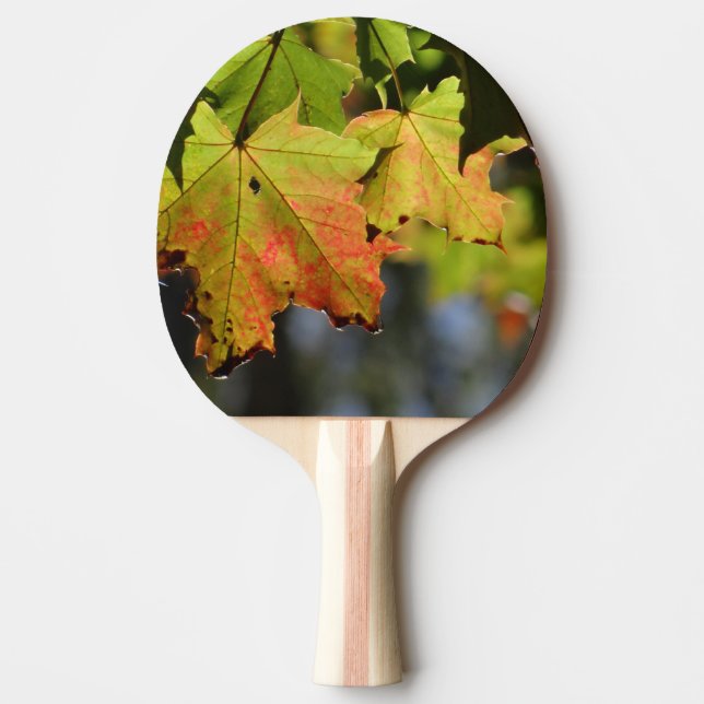Färgfläckig höst löv pingisracket (Framsidan)