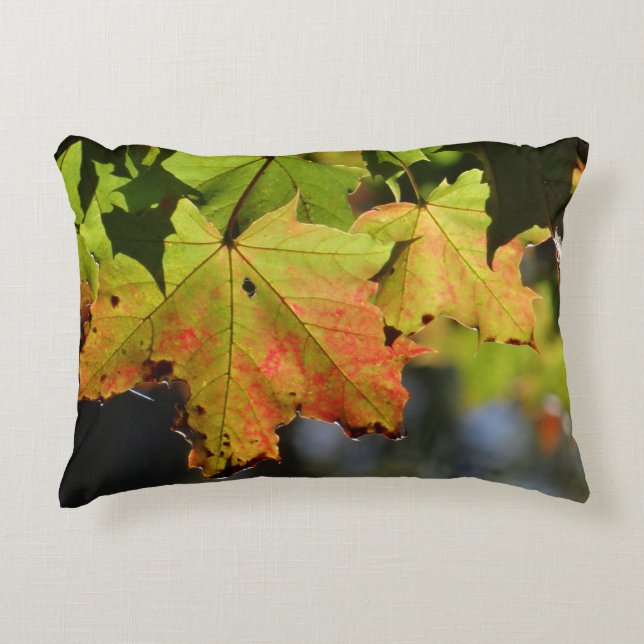Färgfläckig höst löv prydnadskudde (Framsidan)