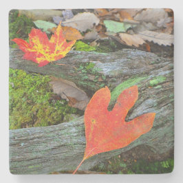 Färgfläckig Höst löv Stenunderlägg