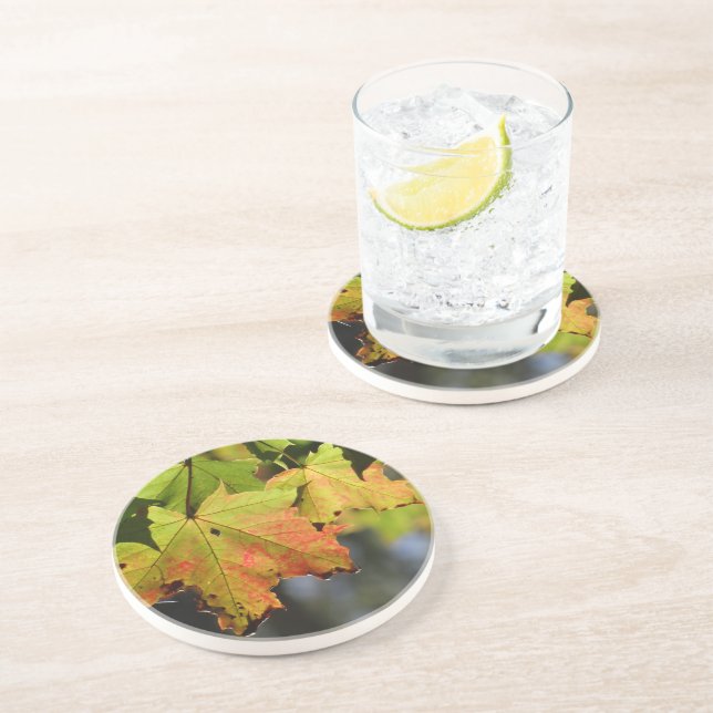 Färgfläckig höst löv underlägg (Sidan)