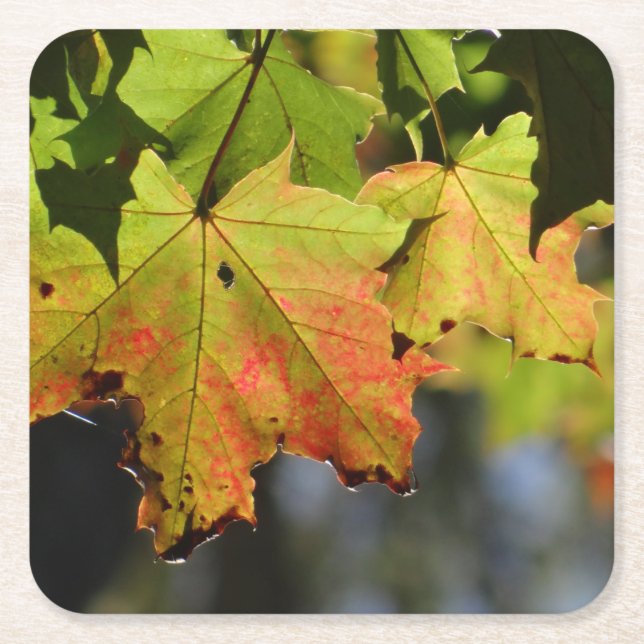 Färgfläckig höst löv underlägg papper kvadrat (Framsidan)