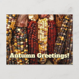 Färgfläckig indisk Maj Kernels Foto Vykort