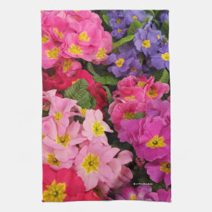 Färgfläckig Medley Rosa Blue Lila Primula Flowers Kökshandduk