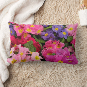 Färgfläckig Medley Rosa Blue Lila Primula Flowers Lumbarkudde