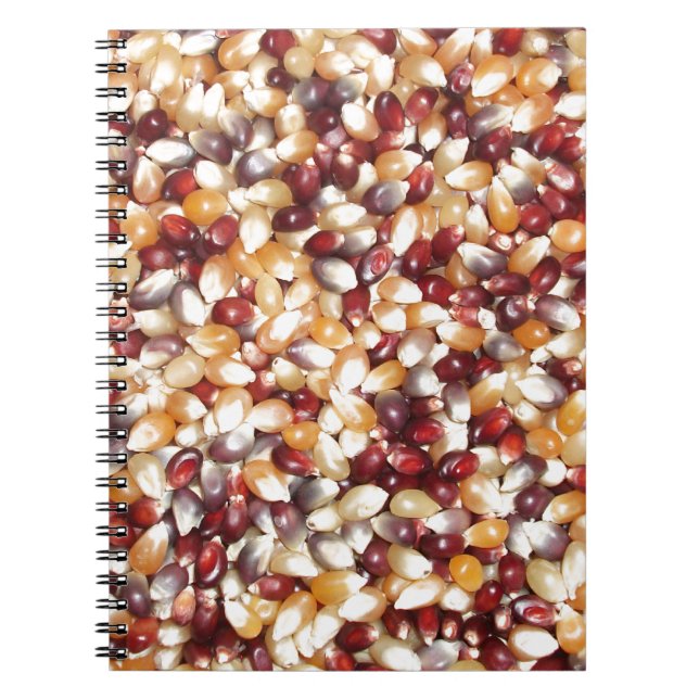Färgfläckig popcorn Kernels Anteckningsbok (Framsidan)