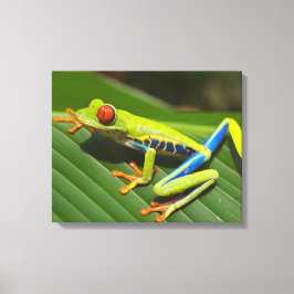 Färgfläckig Träd Frog Canvastryck