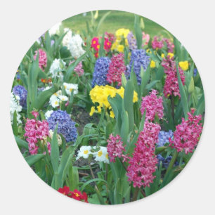 Färgfläckig Vår blommor Runt Klistermärke