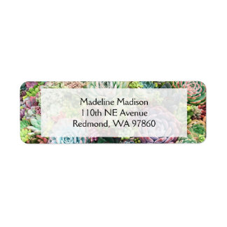 Färgfläckigt sukulärt Garden Returadress Etikett
