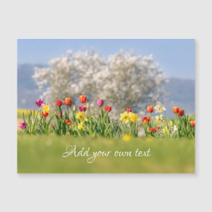 Färgflödor Tulips + Daffodils Magnetiskt kort