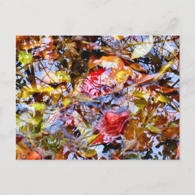 Färgformer i Träd reflektioner om Löv i Vatten Vykort (Framsida)