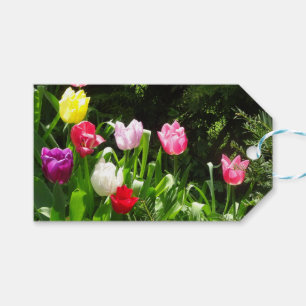 Färgformiga Märkre i tulips DIY Gift Presentetikett