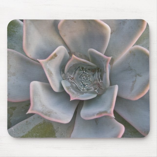 Färgformiga Succulents Mousepad #1 Musmatta (Framsidan)