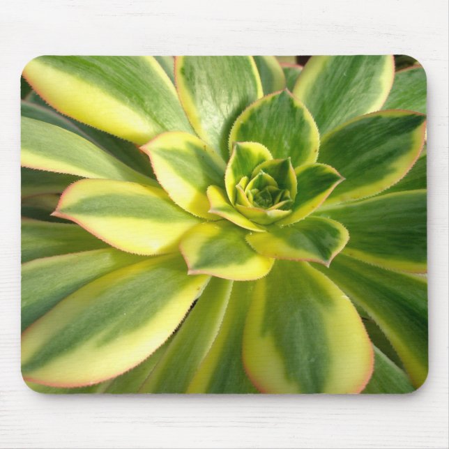 Färgformiga Succulents Mousepad #2 Musmatta (Framsidan)