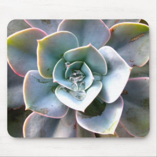 Färgformiga Succulents Mousepad #3 Musmatta