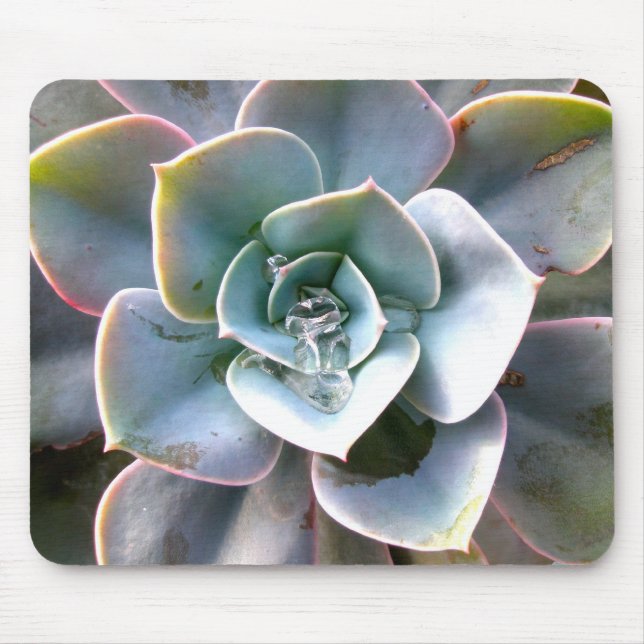Färgformiga Succulents Mousepad #3 Musmatta (Framsidan)