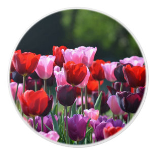 Färgformiga tryckformar knopp