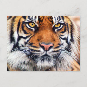 Färgfoto för manlig siberisk tiger vykort