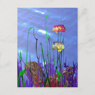 Färgfull 3d Angelfish Vykort