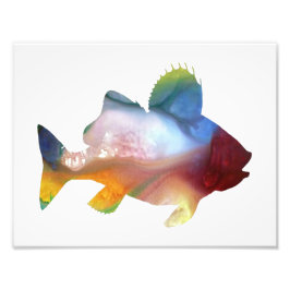 Färgfull abstrakt Perch silhouette Fototryck