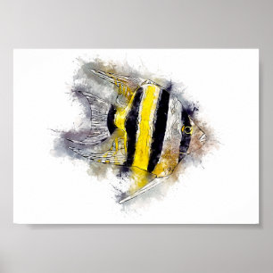 Färgfull AngelFish Perfekt Aquarium-presentidé Poster