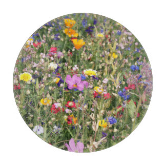 Färgfull ängsskugga för vilda blommor, levande mön