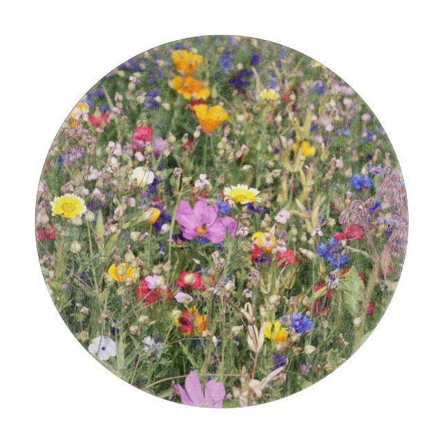 Färgfull ängsskugga för vilda blommor, levande mön (Framsidan)