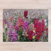 Färgfull Blommigt för Snapdraon Garden