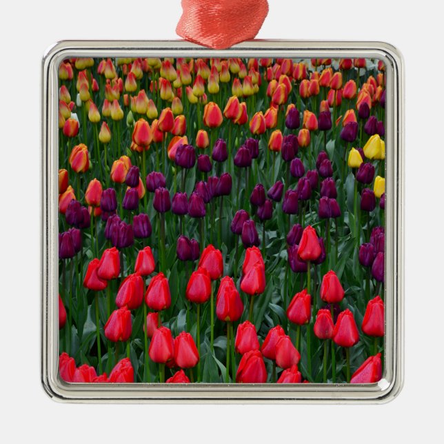 Färgfull blomsterträdgård av tulpanrör julgransprydnad metall (Framsidan)