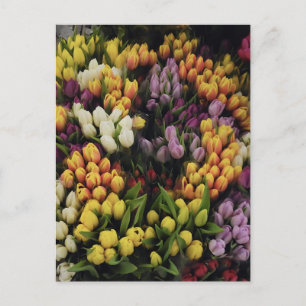 Färgfull Blomsterträdgård i Bloom, Snyggt Vykort
