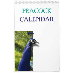 Färgfull boskap 2025 kalender