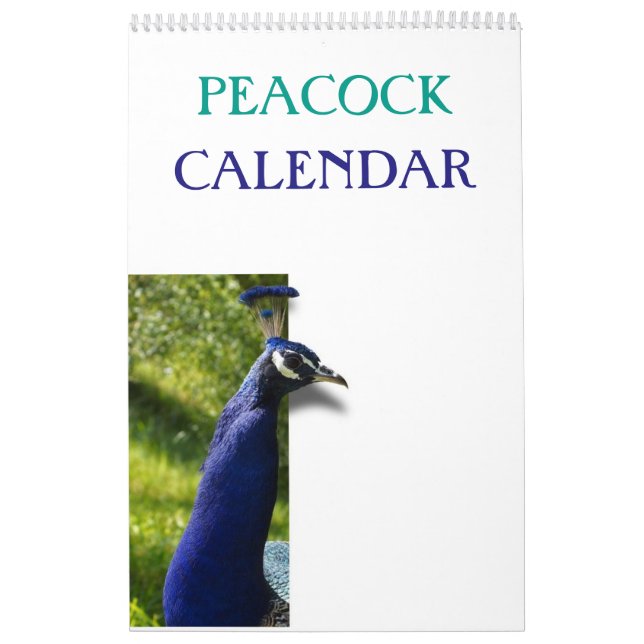 Färgfull boskap 2025 kalender (Omslag)