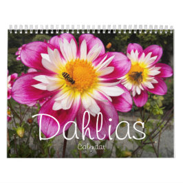 Färgfull Dahlias-Blommigt Fotografisk Kalender