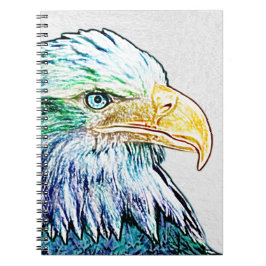 Färgfull Eagle-skiss Anteckningsbok