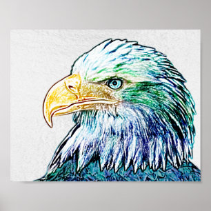 Färgfull Eagle-skiss Poster