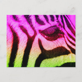 Färgfull Funky Zebra Vykort