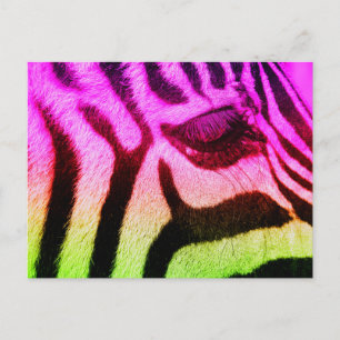 Färgfull Funky Zebra Vykort